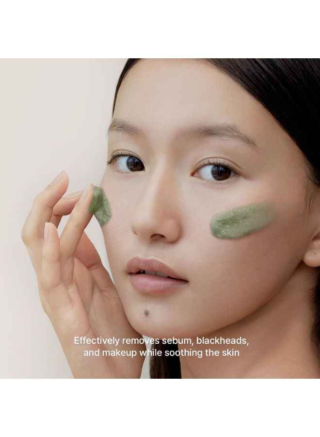 ARENCIA Salicylic Acid, Green Tea LHA Deep Pore Rice Cake Cleanser Arencia